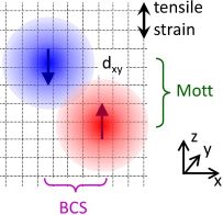 Possible coexistence of Mott and BCS correlations in strontium titanate