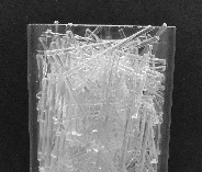 black and white photo of 
rods in a transparent plastic cylindrical container;
only the top of the container is visible.